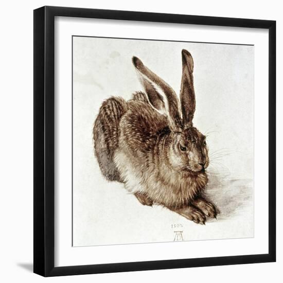 The Young Hare-Albrecht Dürer-Framed Giclee Print