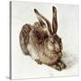 The Young Hare-Albrecht Dürer-Stretched Canvas