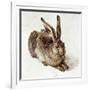 The Young Hare-Albrecht Dürer-Framed Giclee Print