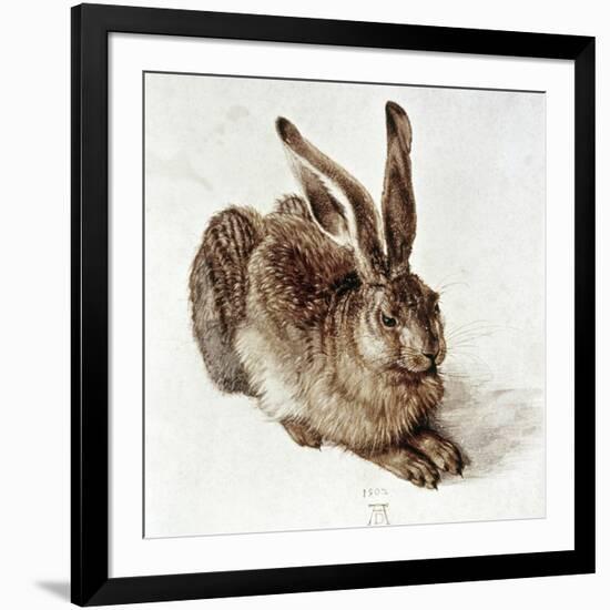 The Young Hare-Albrecht Dürer-Framed Giclee Print
