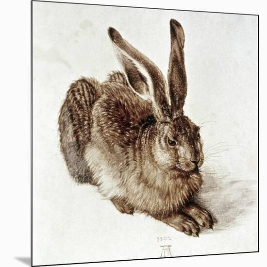 The Young Hare-Albrecht Dürer-Mounted Giclee Print