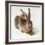 The Young Hare-Albrecht Dürer-Framed Giclee Print
