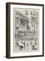 The Young Helpers' League at the Royal Albert Hall-Ralph Cleaver-Framed Giclee Print