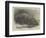 The Young Hippopotamus and Dam, at the Zoological Society's Garden-null-Framed Premium Giclee Print