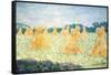 The Young Ladies of Giverny, Sun Effect, 1894-Claude Monet-Framed Stretched Canvas