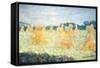 The Young Ladies of Giverny, Sun Effect, 1894-Claude Monet-Framed Stretched Canvas