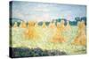 The Young Ladies of Giverny, Sun Effect, 1894-Claude Monet-Stretched Canvas