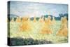 The Young Ladies of Giverny, Sun Effect, 1894-Claude Monet-Stretched Canvas