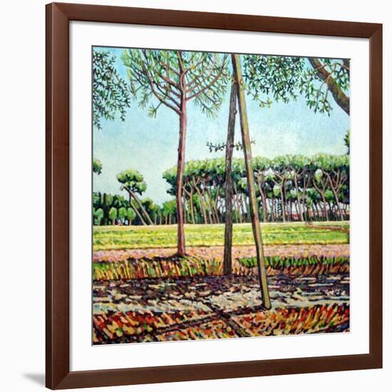 The Young Pine, 2009-Noel Paine-Framed Giclee Print