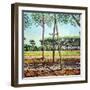 The Young Pine, 2009-Noel Paine-Framed Giclee Print
