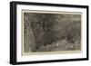 The Young Princes on their Cruise, Charge of Wild Elephants During a Kraal at Labugankande, Ceylon-null-Framed Giclee Print