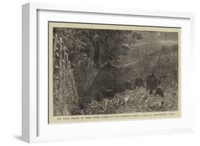 The Young Princes on their Cruise, Charge of Wild Elephants During a Kraal at Labugankande, Ceylon-null-Framed Giclee Print