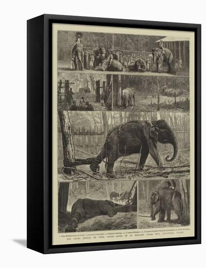 The Young Princes on their Cruise, Notes at an Elephant Kraal Near Awisawella, Ceylon-null-Framed Stretched Canvas