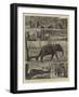 The Young Princes on their Cruise, Notes at an Elephant Kraal Near Awisawella, Ceylon-null-Framed Giclee Print