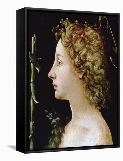 The Young Saint John the Baptist, C1482-1522-Piero di Cosimo-Framed Stretched Canvas