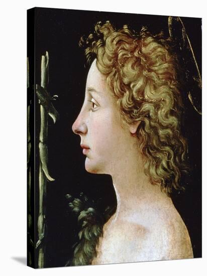 The Young Saint John the Baptist, C1482-1522-Piero di Cosimo-Stretched Canvas