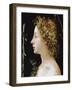 The Young Saint John the Baptist, C1482-1522-Piero di Cosimo-Framed Giclee Print