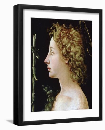 The Young Saint John the Baptist, C1482-1522-Piero di Cosimo-Framed Giclee Print