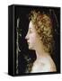 The Young Saint John the Baptist, C1482-1522-Piero di Cosimo-Framed Stretched Canvas