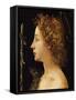 The Young Saint John the Baptist-Piero di Cosimo-Framed Stretched Canvas