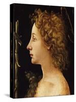 The Young Saint John the Baptist-Piero di Cosimo-Stretched Canvas