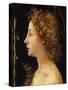 The Young Saint John the Baptist-Piero di Cosimo-Stretched Canvas