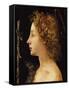 The Young Saint John the Baptist-Piero di Cosimo-Framed Stretched Canvas