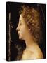 The Young Saint John the Baptist-Piero di Cosimo-Stretched Canvas