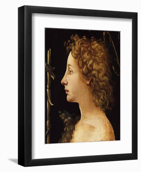 The Young Saint John the Baptist-Piero di Cosimo-Framed Giclee Print