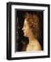 The Young Saint John the Baptist-Piero di Cosimo-Framed Giclee Print