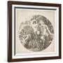 The Young Satyr, 1656-Stefano Della Bella-Framed Giclee Print