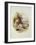 The Young Shepherd-Myles Birket Foster-Framed Giclee Print