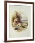The Young Shepherd-Myles Birket Foster-Framed Giclee Print
