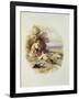 The Young Shepherd-Myles Birket Foster-Framed Giclee Print