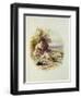 The Young Shepherd-Myles Birket Foster-Framed Giclee Print
