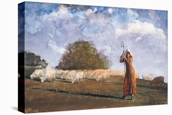 The Young Shepherdess, 1878-Winslow Homer-Stretched Canvas