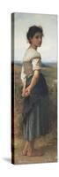 The Young Shepherdess, 1885-William-Adolphe Bouguereau-Stretched Canvas