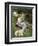 The Young Shepherdess-Evariste Carpentier-Framed Giclee Print