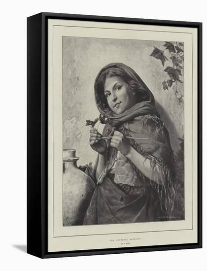 The Youthful Botanist-Antonio Rotta-Framed Stretched Canvas