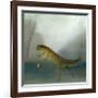 The Yuletide Newt-DD McInnes-Framed Art Print