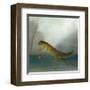 The Yuletide Newt-DD McInnes-Framed Art Print