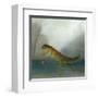 The Yuletide Newt-DD McInnes-Framed Art Print