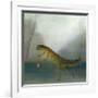 The Yuletide Newt-DD McInnes-Framed Premium Giclee Print