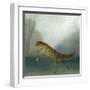 The Yuletide Newt-DD McInnes-Framed Art Print