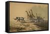 The Zebra, The Giraffe, The White Rhinoceros-null-Framed Stretched Canvas