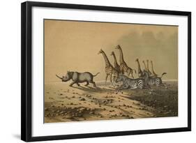 The Zebra, The Giraffe, The White Rhinoceros-null-Framed Giclee Print