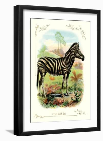 The Zebra-null-Framed Art Print