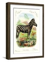 The Zebra-null-Framed Art Print
