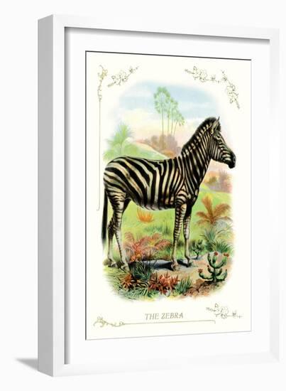 The Zebra-null-Framed Art Print