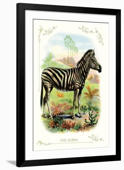 The Zebra-null-Framed Art Print